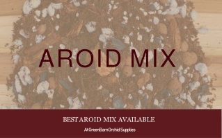 Best Aroid Mix available at Green Barn Orchid Supplies.
