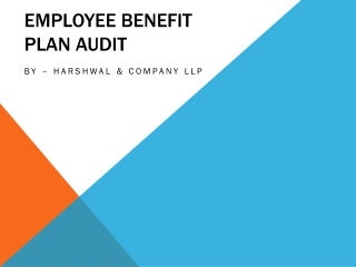 Employee Benefit Plan Audit Services in the USA – HCLLP