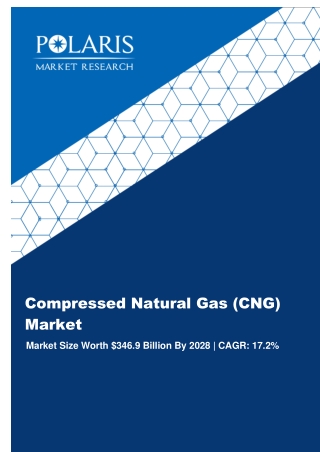Compressed Natural Gas (CNG) Market Size, Share And Forecast To 2028