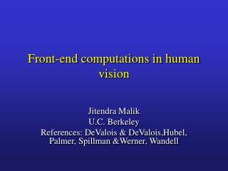 Front-end computations in human vision