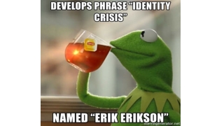 Erikson and Marcia Research Project