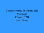 Characteristics of Worms and Mollusks Chapter 23B