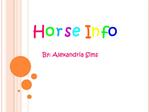 Horse Info