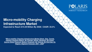 Micro-mobility Charging Infrastructure Market Size, Share And Forecast To 2028