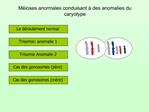 M ioses anormales conduisant des anomalies du caryotype
