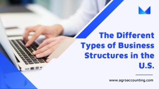 The Different Types of Business Structures in the U.S.