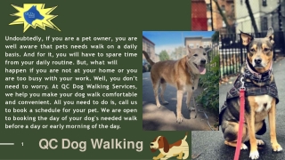 Find the Best Dog Walkers in Brooklyn - Qc Dog Walking