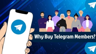 Buying Telegram Members Helps You!!!