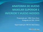 Anatomia de hueso maxilar superior e inferior y hueso hioides