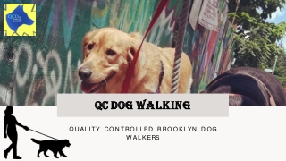 Best Dog Walkers And Pet Sitting Services In Brooklyn