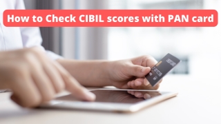 How to Check CIBIL scores with PAN card