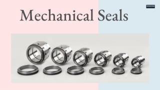 Buy the Best Mechanicals Seals for your Machine