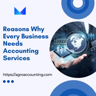 Reasons Why Every Business Needs Accounting Services