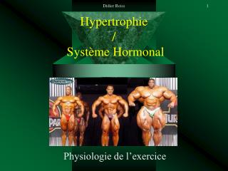 Hypertrophie / Système Hormonal