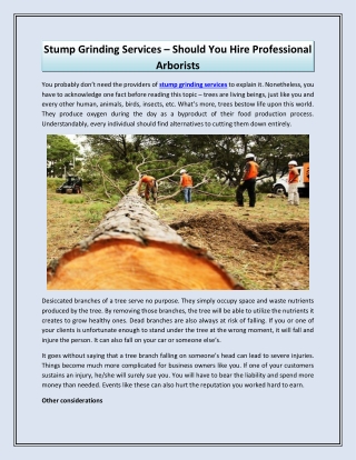 Stump Grinding Services Should You Hire Professional Arborists