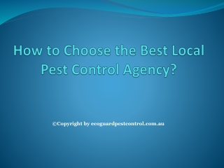 How to Choose the Best Local Pest Control Agency?