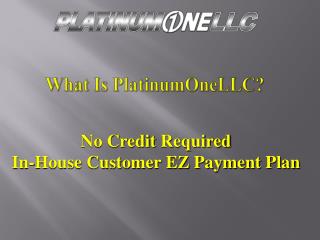 What Is PlatinumOneLLC ?