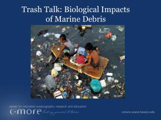 Trash Talk: Biological Impacts of Marine Debris