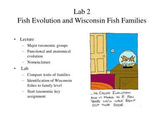 Lab 2 Fish Evolution and Wisconsin Fish Families