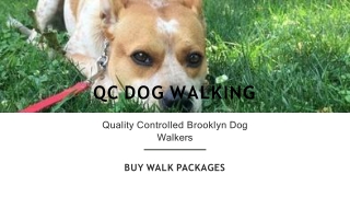 Hire Best Professional Dog Walkers In Brooklyn
