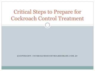 Critical Steps to Prepare for Cockroach Control Treatment
