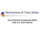 Mechanisms of Toxic Action
