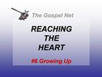 The Gospel Net