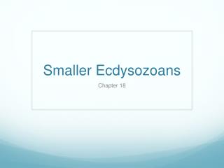 Smaller Ecdysozoans