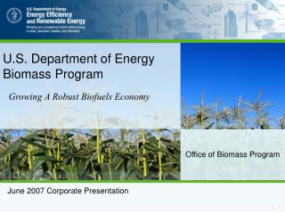 Office of Biomass Program
