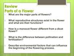 Review Parts of a Flower