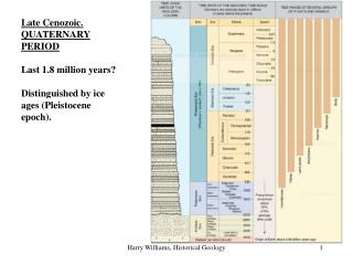 Late Cenozoic. QUATERNARY PERIOD Last 1.8 million years? Distinguished by ice ages (Pleistocene epoch).