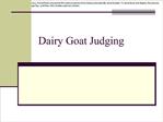 Dairy Goat Judging
