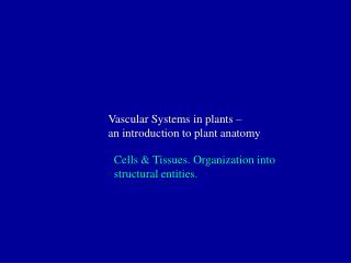 Vascular Systems in plants – an introduction to plant anatomy