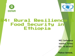 R4: Rural Resilience &amp; Food Security in Ethiopia
