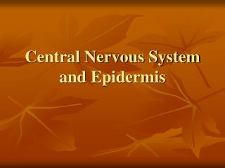 Central Nervous System and Epidermis