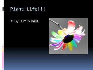 Plant Life!!!