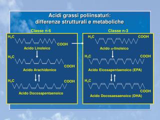 Acidi grassi poliinsaturi: differenze strutturali e metaboliche