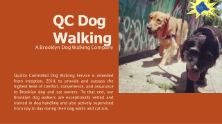 Find Brooklyn Dog Walkers With Best Prices On QC Dog Walking