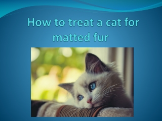 how to treat acat for matted