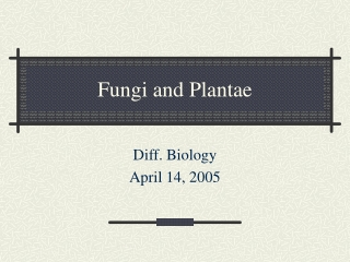 Fungi and Plantae