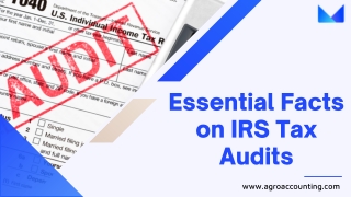 Essential Facts on IRS Tax Audits