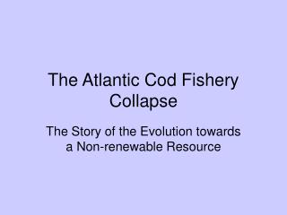 The Atlantic Cod Fishery Collapse
