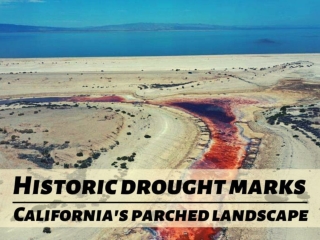 Historic drought marks California's parched landscape