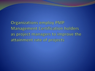pmp management llc