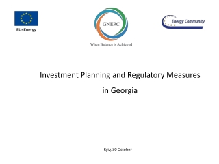 Investment Planning and Regulatory Measures in Georgia