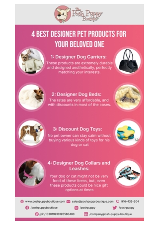 4 BEST DESIGNER PET PRODUCTS FOR YOUR BELOVED ONE