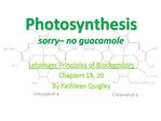 Photosynthesis sorry no guacamole
