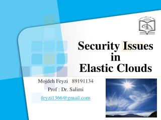 Security Issues in Elastic Clouds