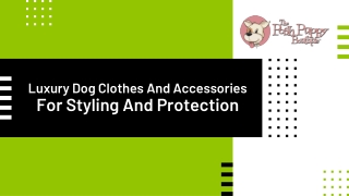 Luxury Dog Clothes And Accessories For Styling And Protection