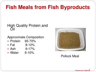 Fish Meals from Fish Byproducts